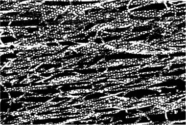 Çizik ve çiziklerle dolu siyah beyaz bir arka plan. Soyut vektör illüstrasyonu.