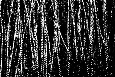 Çizik ve çiziklerle dolu siyah beyaz bir arka plan. Soyut vektör illüstrasyonu.