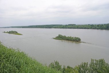 Yeşil adalı geniş nehir ve beyaz bulutlu gri gökyüzü.