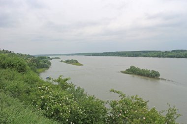 Yeşil adalı geniş nehir ve beyaz bulutlu gri gökyüzü.