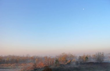 Sabah ışığı, çıplak ağaçlı manzara. Güz grisi buğulu sis.