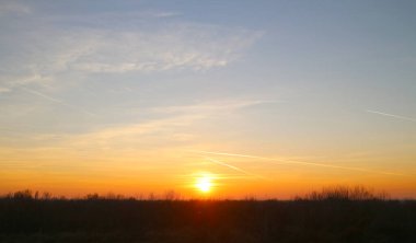 Sonbaharda ormanla günbatımı manzarası.