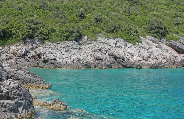 Green Crystal Clear Seawater Rocks Greenery — Stockfoto