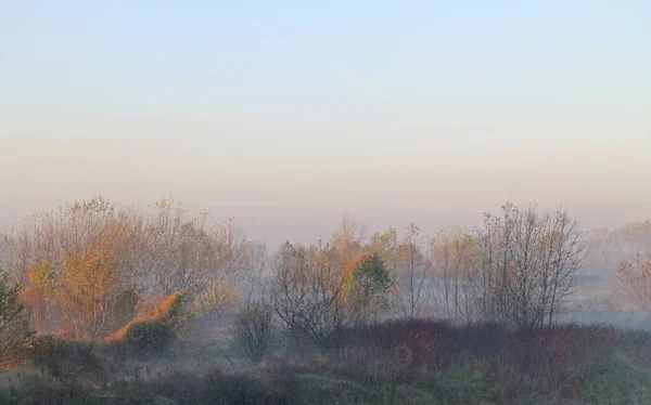 Morgenlicht Landschaft Mit Kahlen Bäumen Herbstgrauer Nebel Mit Raureif — Stockfoto
