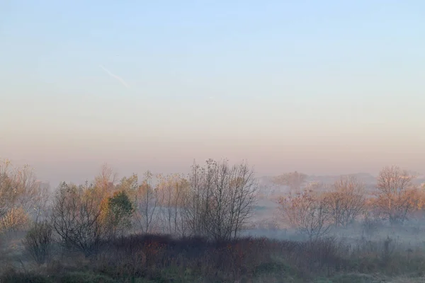 Morgenlicht Landschaft Mit Kahlen Bäumen Herbstgrauer Nebel Mit Raureif — Stockfoto