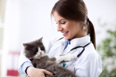 Steteskop ve yavru kedi ile veteriner