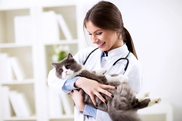 Feliz sorriso veterinário com paciente — Fotografia de Stock