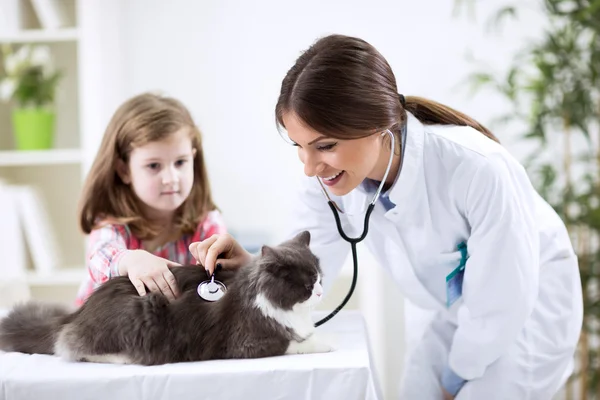 Dívka u veterinární s její kočka — Stock fotografie