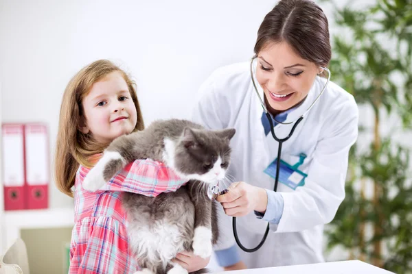 Kız takingt evde beslenen hayvan kedi-e doğru sınav için veteriner — Stok fotoğraf