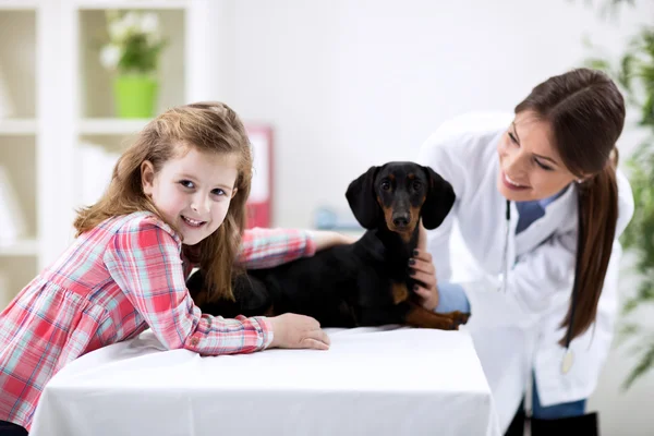 Veterinaria ayudando a un niño pequeño con perro — Foto de Stock