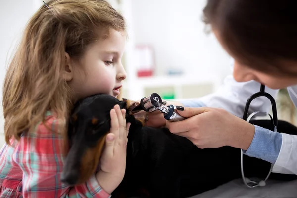 Chica en el veterinario con su perro —  Fotos de Stock