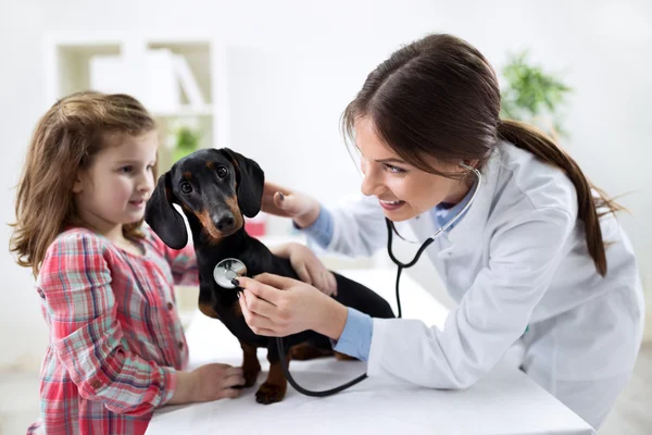 Bela criança com seu animal de estimação no médico veterinário — Fotografia de Stock