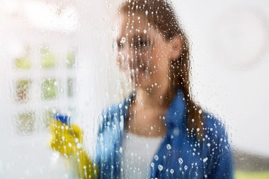 Temizlik - Temizlik deterjan ile pencere bölmesi