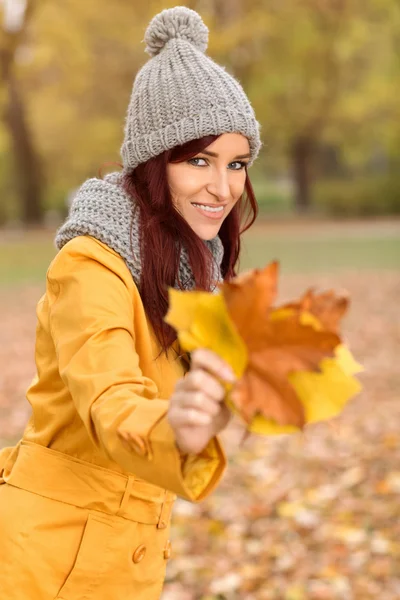 Bella ragazza che tiene foglie di autunno gialle — Foto Stock