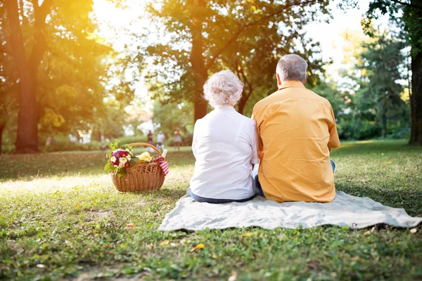 Lyckliga senior par njuter av en picknick i parken — Stockfoto