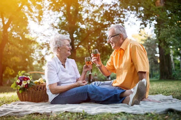 La coppia più anziana felice festeggia l'anniversario in parco — Foto Stock
