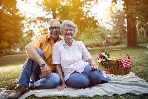 Felice e bello anziano coppia godendo di un pic-nic nel parco — Foto Stock
