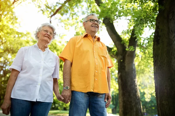 Glada och nöjda äldre par — Stockfoto