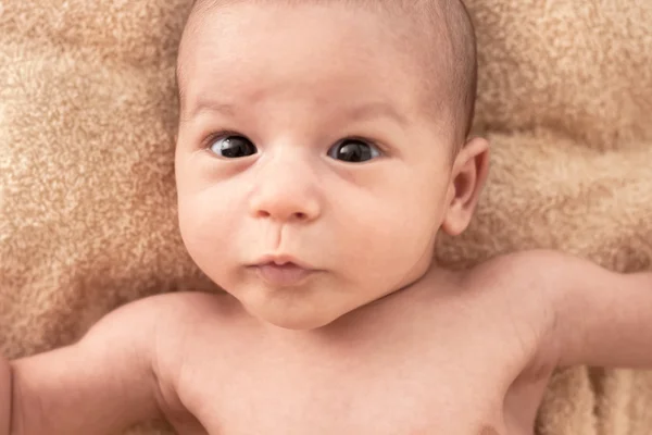 Funny newborn baby face — Stock Photo, Image