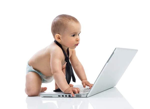 Baby-Geschäftsmann arbeitet am Computer — Stockfoto