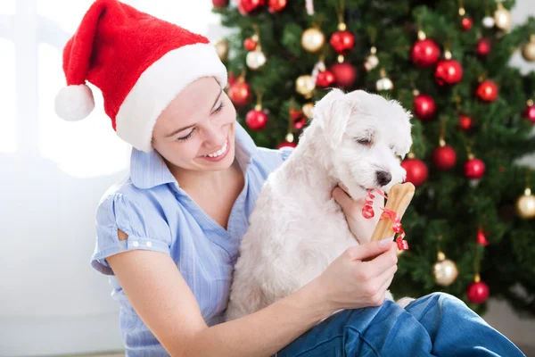 Jeune belle femme donne os cadeau à son chien pour Noël — Photo