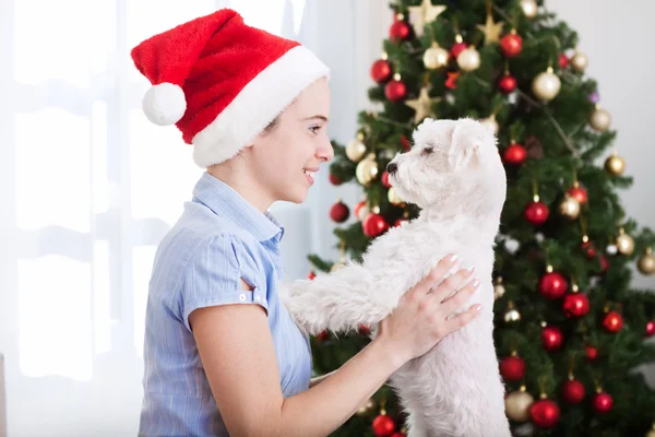 Attrayant fille tenant chien mignon et profiter des vacances de Noël — Photo