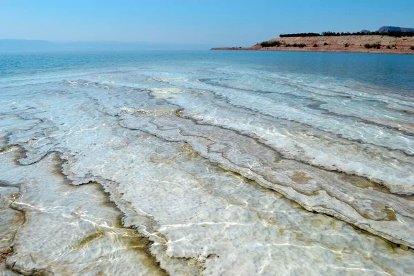 Mar Morto Una Costa Creata Dal Sale Forma Strati Sale — Foto Stock
