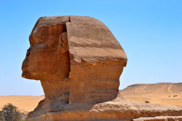 Giza Nın Büyük Sfenksi Insan Başlı Bir Hayvan Şeklinde Büyük — Stok fotoğraf