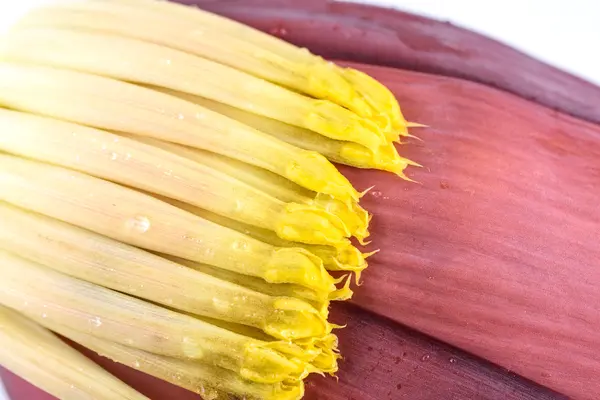 Close-up van banaan bud — Stockfoto