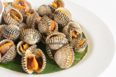 Cockle beyaz bir masada buğulandı Tayland yerel yemekleri, yakın çekim üst manzara.