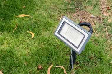 Bahçedeki yeşil çimlerin üzerinde ışık