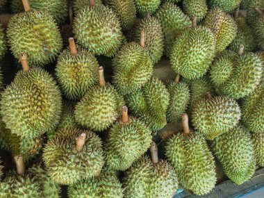 Tayland 'da yerel bir pazarda Durian tropikal meyvesi.