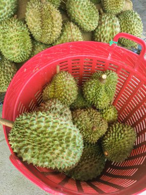 Tayland 'da yerel bir pazarda Durian tropikal meyvesi.