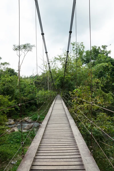 Rope Bridge — Stockfoto