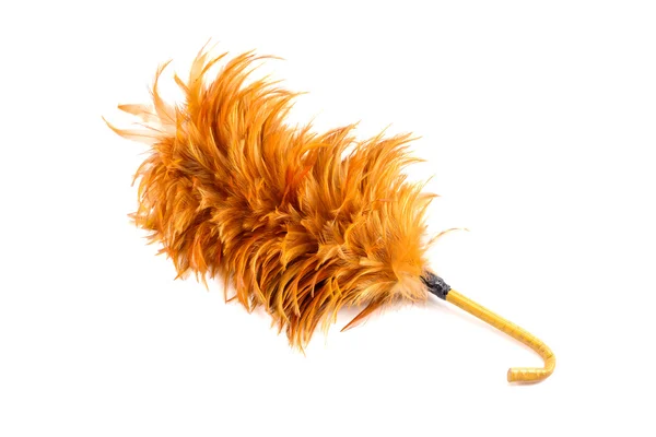 Feather cleaning — Stock Photo, Image