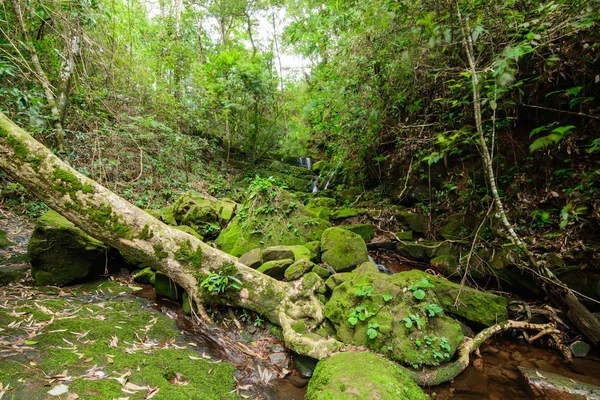 Sai Tip waterfall — Stock Photo, Image