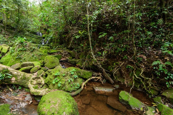 Sai Tip waterfall — Stock Photo, Image