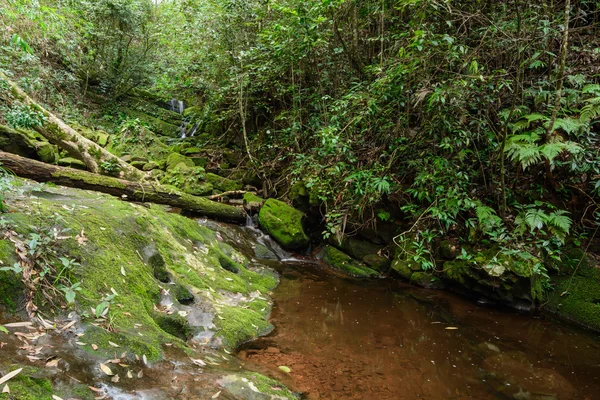 Sai Tip waterfall — Stock Photo, Image