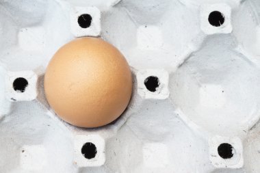 Paket üzerinde yumurta