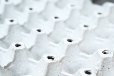 yumurta paket karton