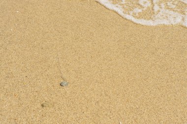 closeup dalga yumuşak