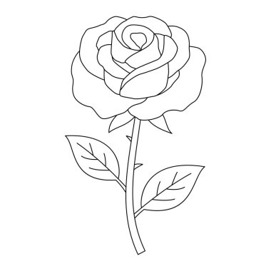 Boyama kitabı gül çiçek vektör şablonu için çizgi sanatı