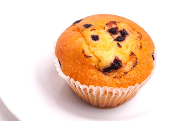 Lezzetli Siyah frenk üzümü muffin — Stok fotoğraf