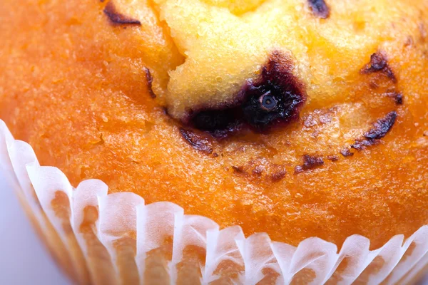 Delicioso muffin de grosella negra — Foto de Stock