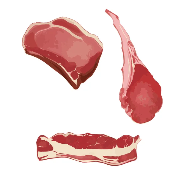 Diferentes rebanadas de carne — Vector de stock