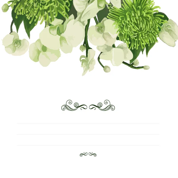 Dahlia flores design . —  Vetores de Stock