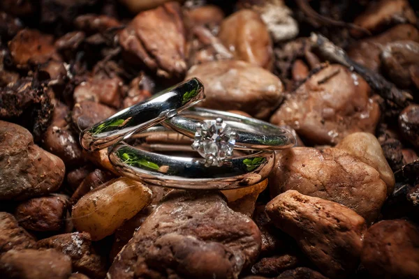 Anillos en las rocas — Foto de Stock