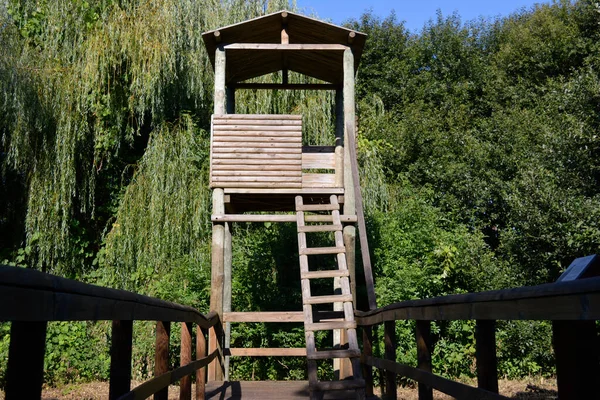 Ağaçlar ve bitki örtüsü ile çevrili orman kuşları gözetleme merkezi.