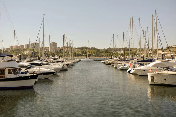 Dos Filas Barcos Anclados Puerto Deportivo Con Veleros Lanchas Rápidas — Foto de Stock