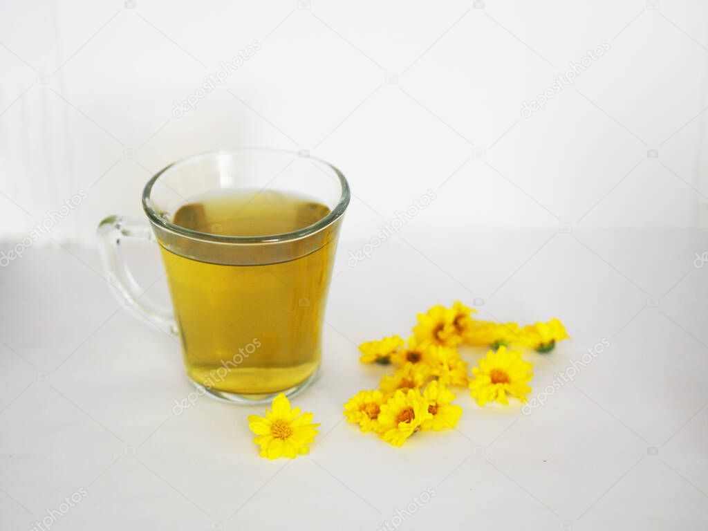 chrysanthemum Juice, Drink water Chrysanthemum indicum Scientific name Dendranthema morifolium, Flavonoids, in clear grass Closeup pollen of yellow flower